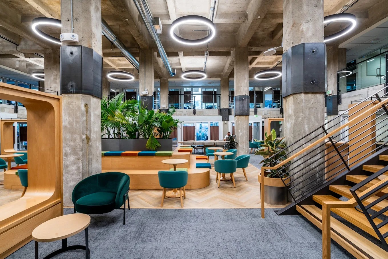 Coworking day pass at werqwise telegraph hill